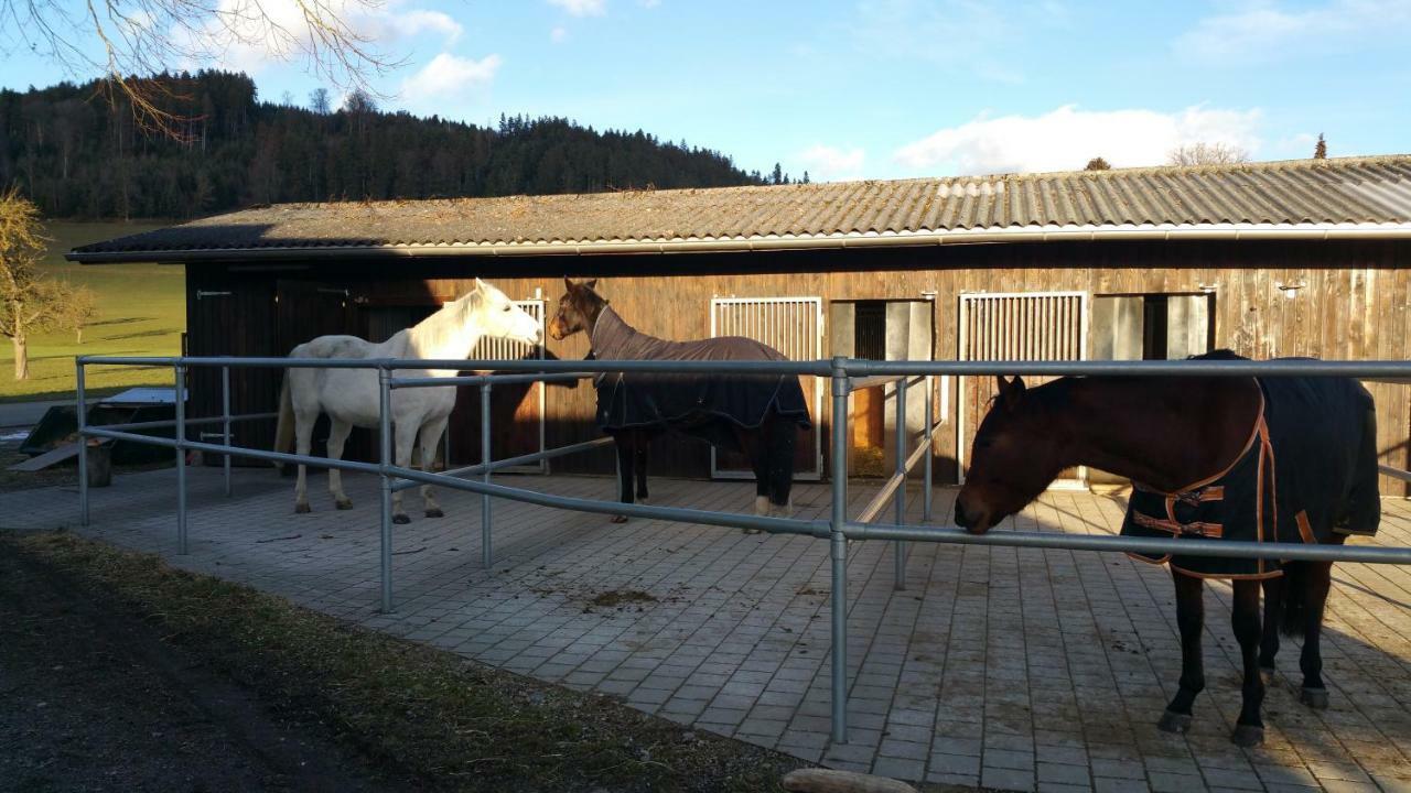 Homestay Kunterbunt Grosswangen